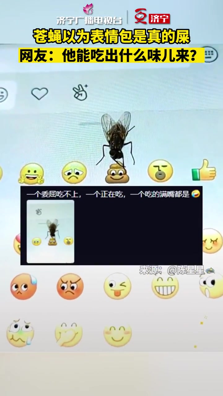 苍蝇以为表情包是真的屎,网友:他能吃出什么味儿来?
