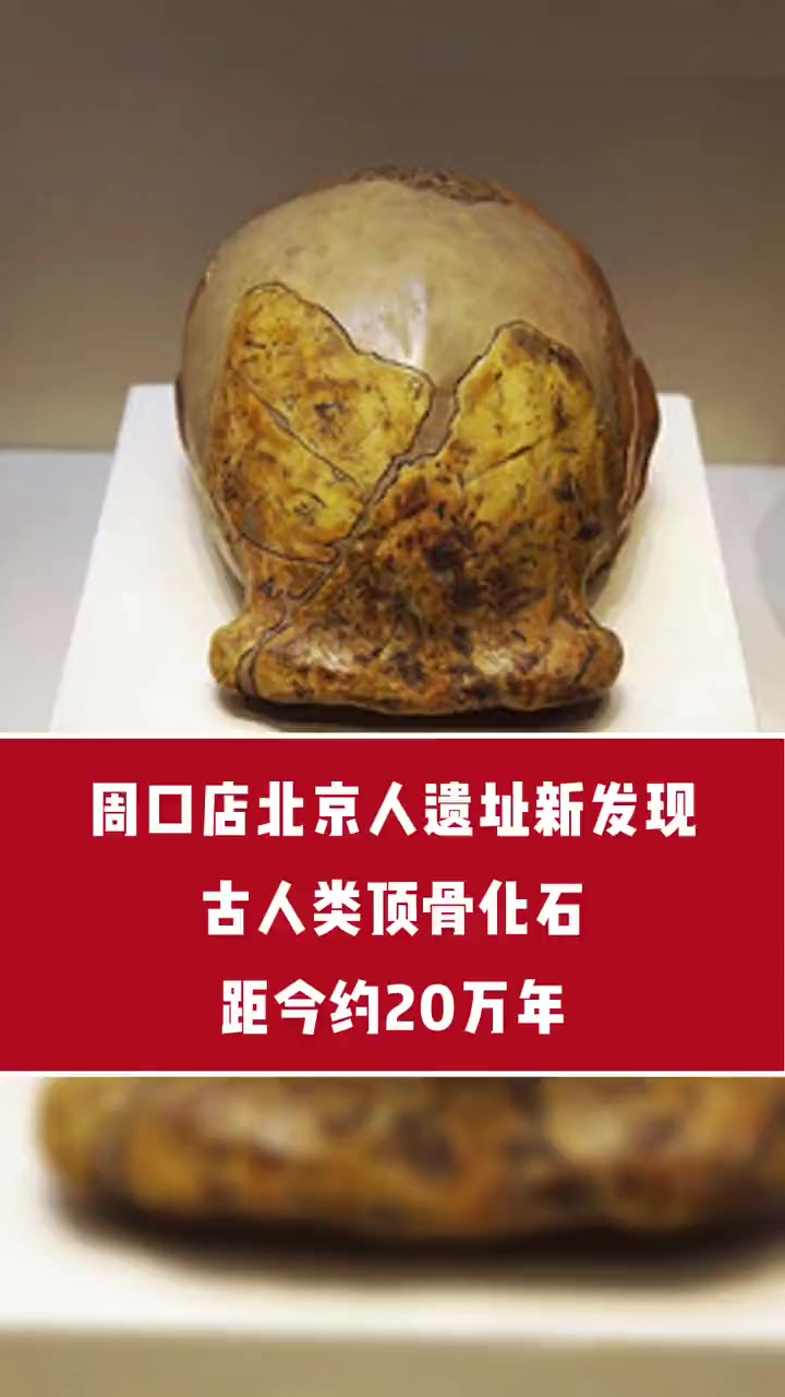 距今约20万年 周口店北京人遗址 文物(来源:央视新闻)-度小视