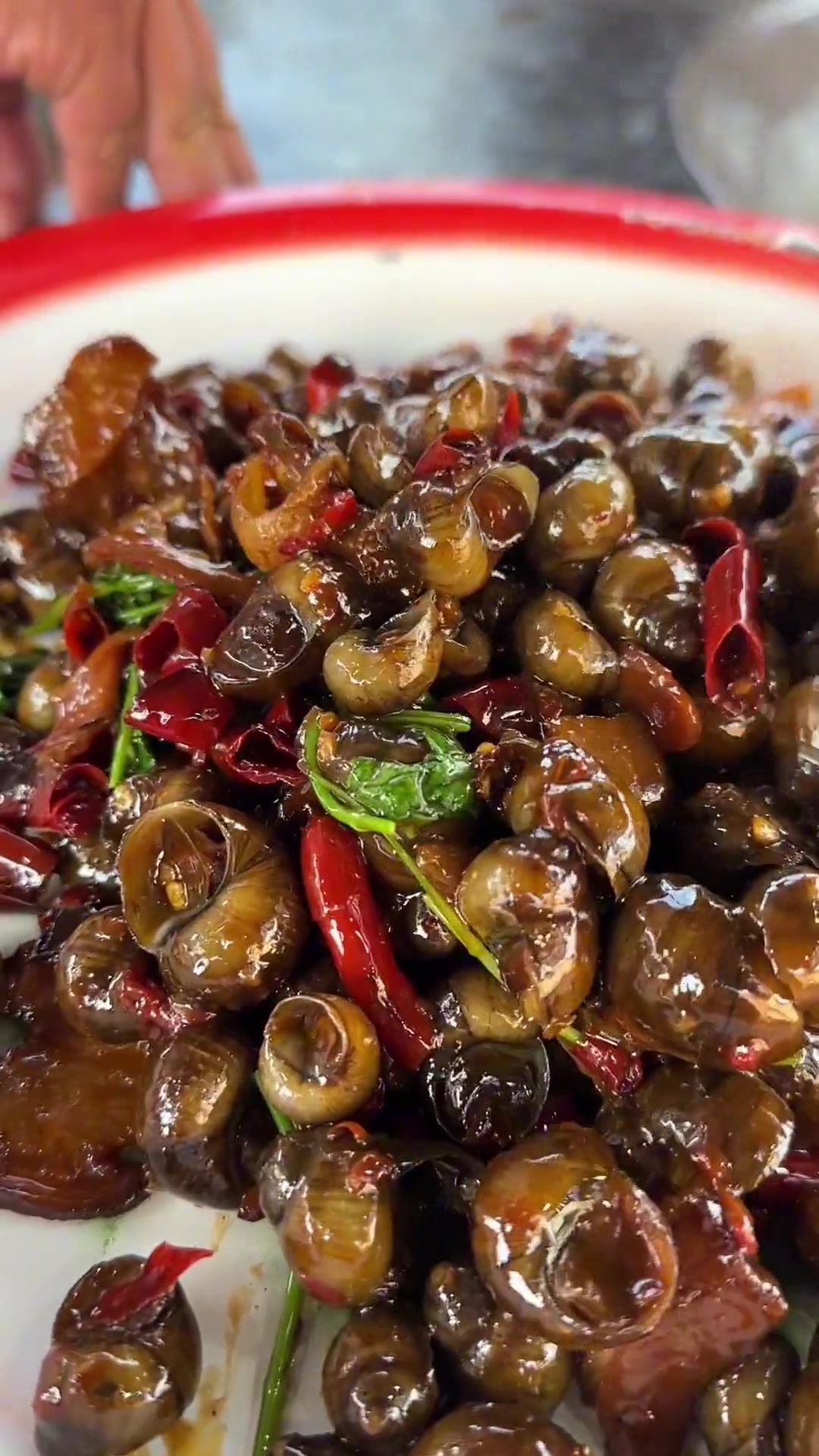 腊肉焖田螺农村大锅饭菜 新农人计划2023 农村美食 寡妇蹭