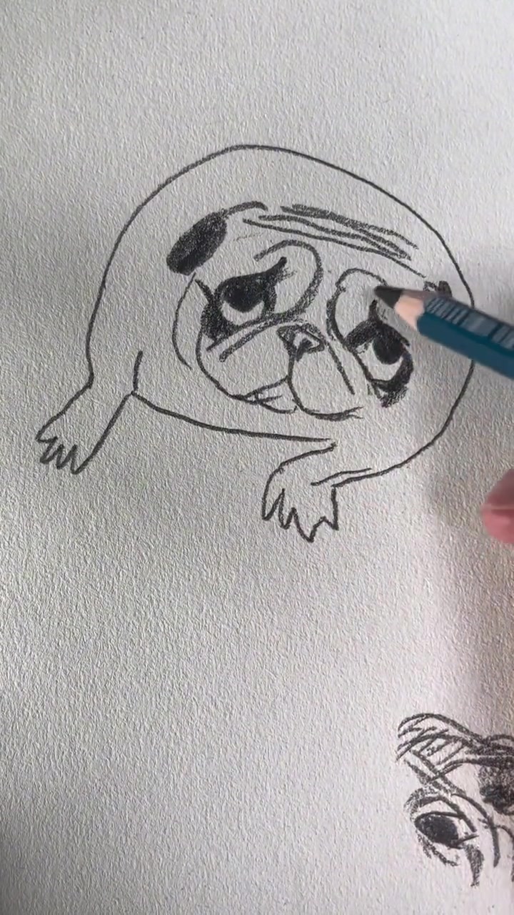 八哥犬 怎样画巴哥犬