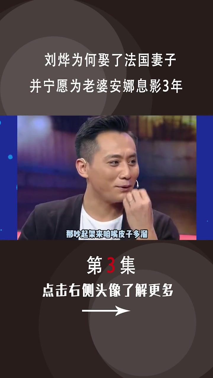 刘烨为何娶了法国妻子,并宁愿为老婆安娜息影3年 刘烨 刘烨安娜 安娜