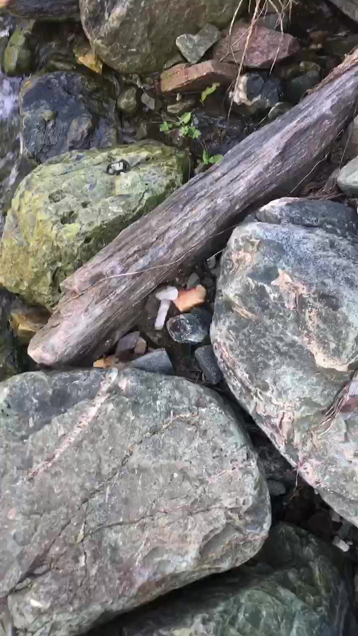 景观石,大型河卵石,黑白色纹理石泰山石-度小视