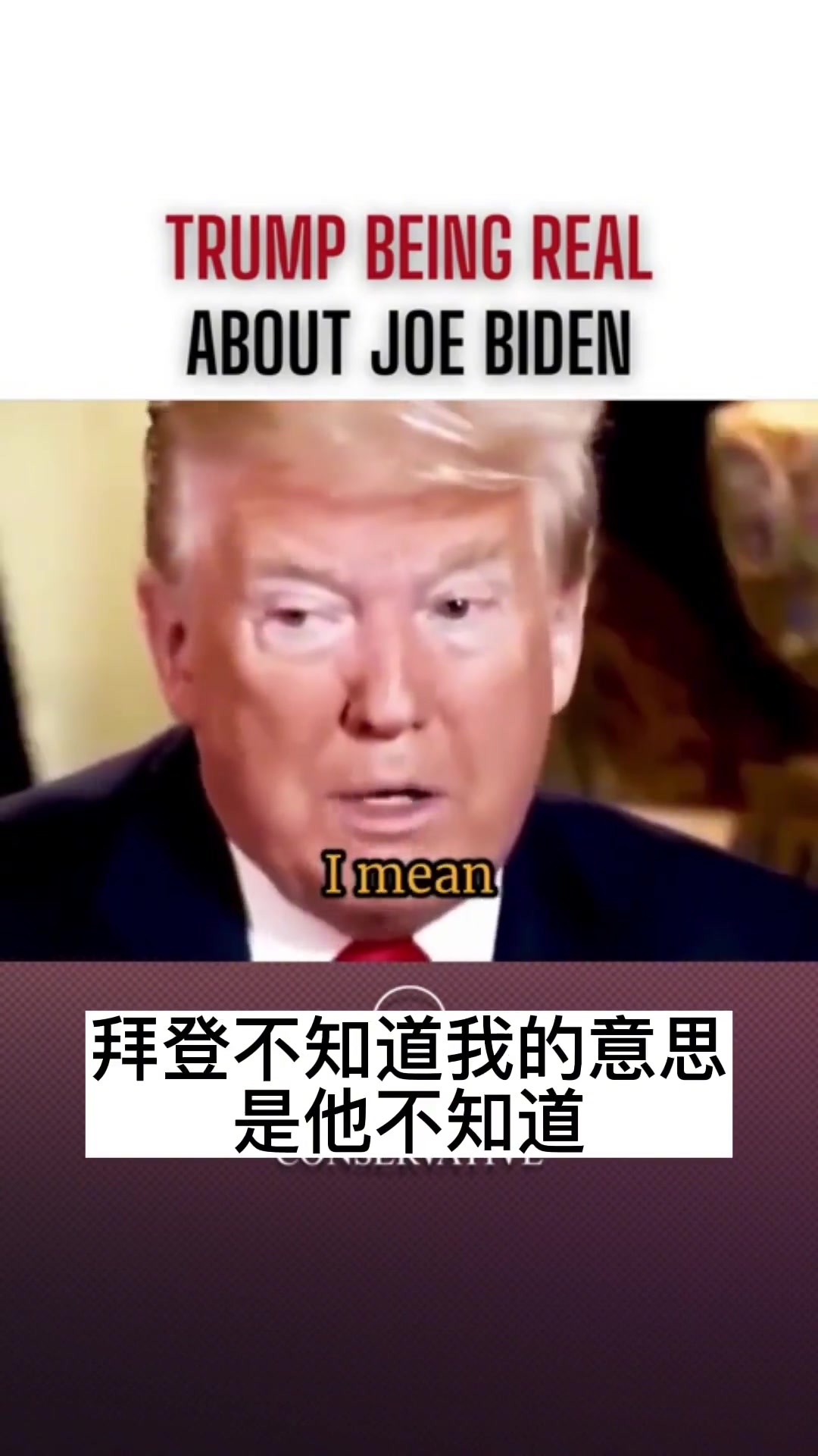 英语每天一分钟 日常口语 四六级英语 内容过于真实 美国总统 搞笑