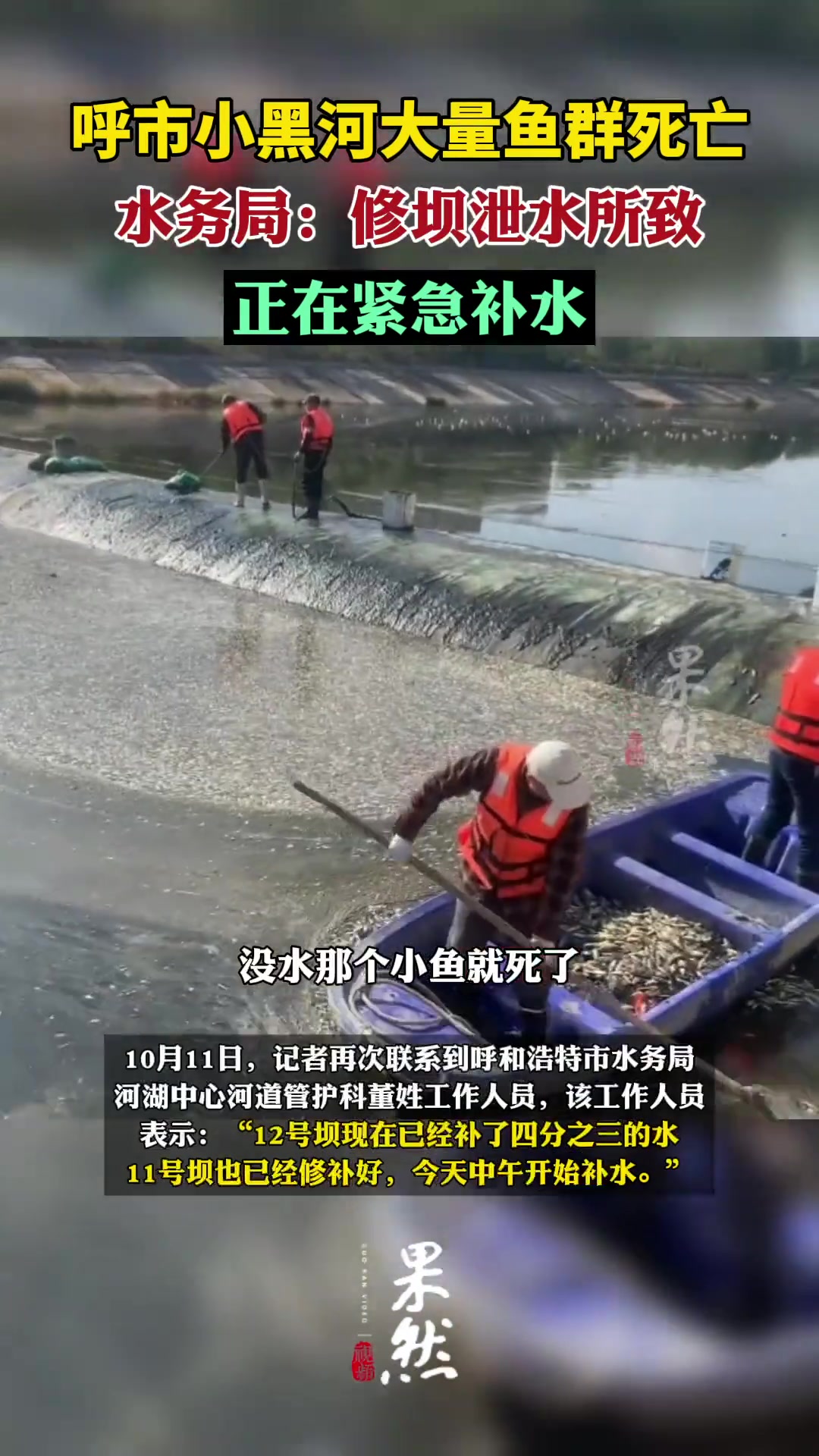 呼市小黑河内出现大量死鱼,水务局再次回应-度小视