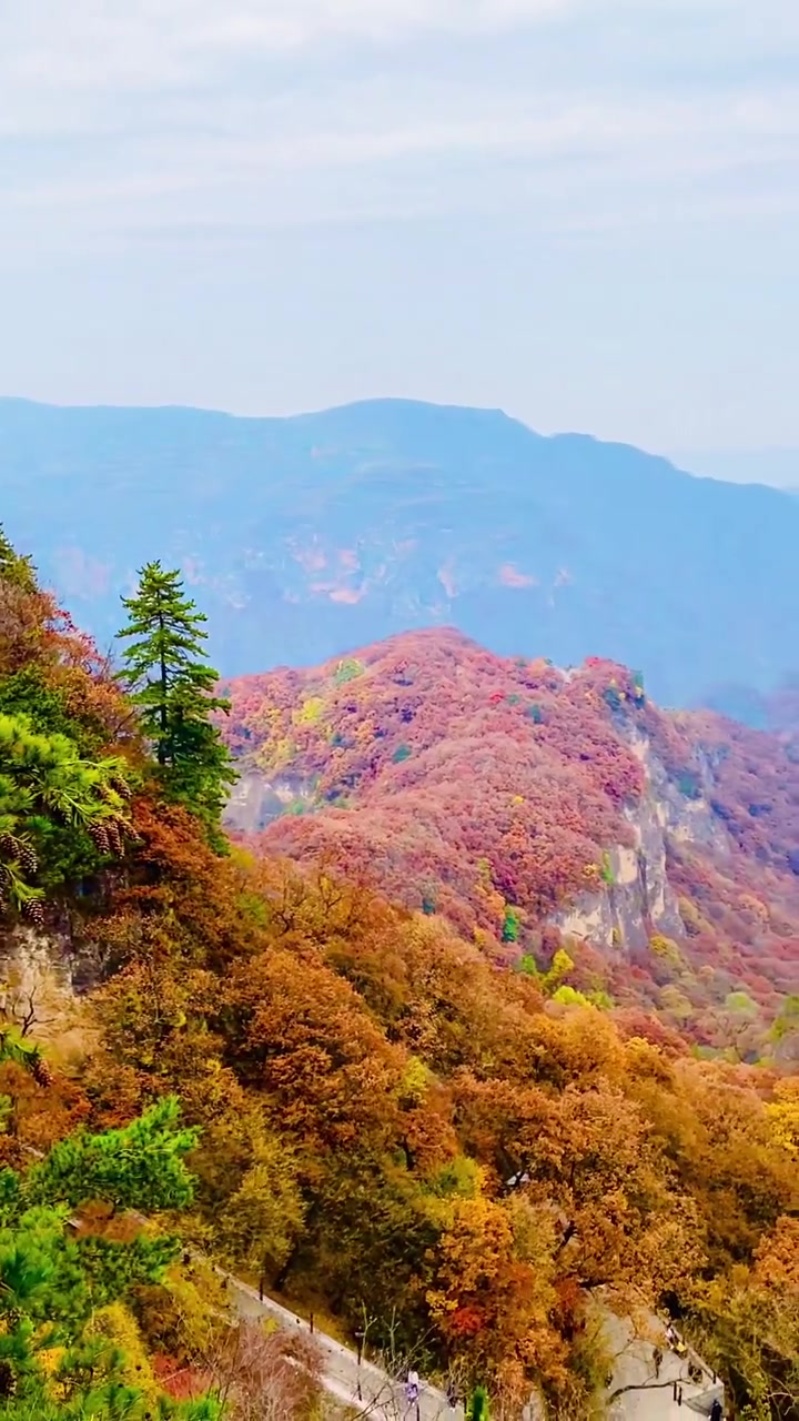 秋色如画好丰景 崆峒秋色 大自然最美风景 手机原创摄影