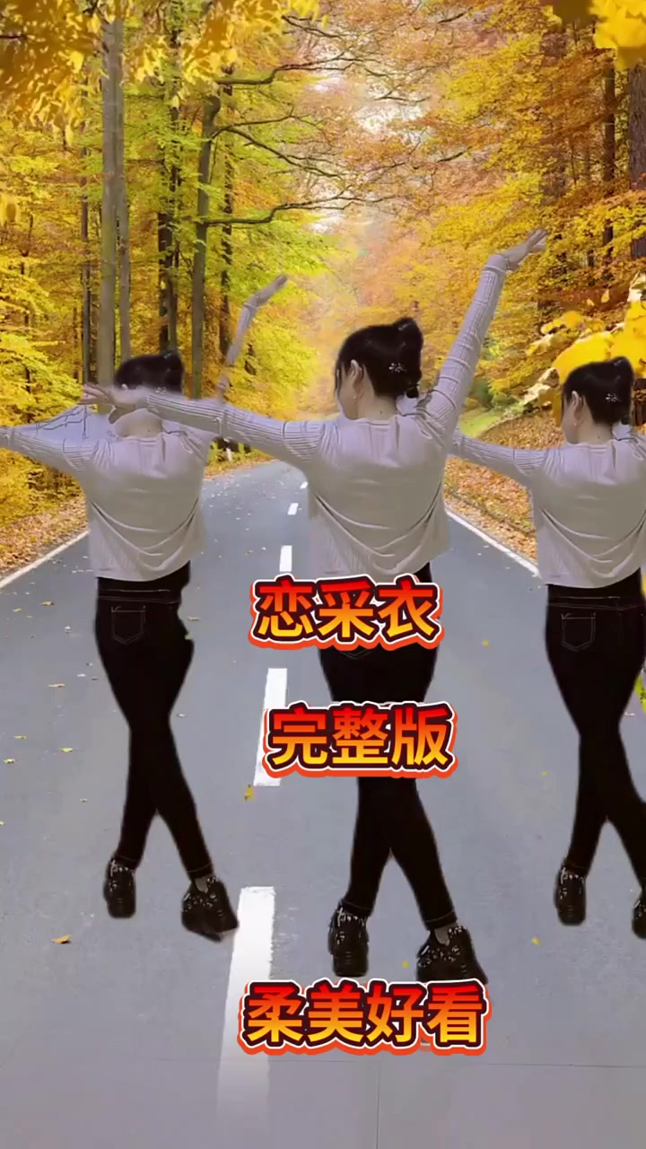 蝶恋衣广场舞基础舞步教程