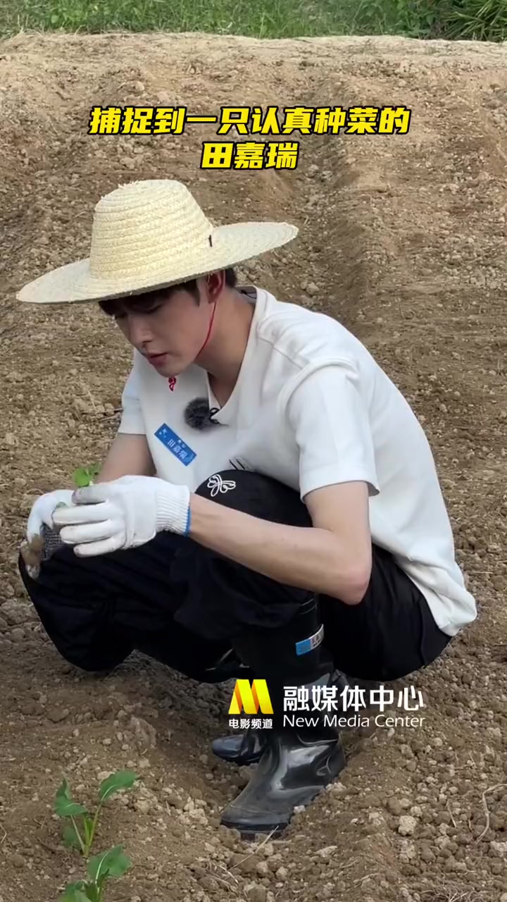 捕捉到一只认真种菜的 田嘉瑞 2023星辰大海青年演员优选计划 2023