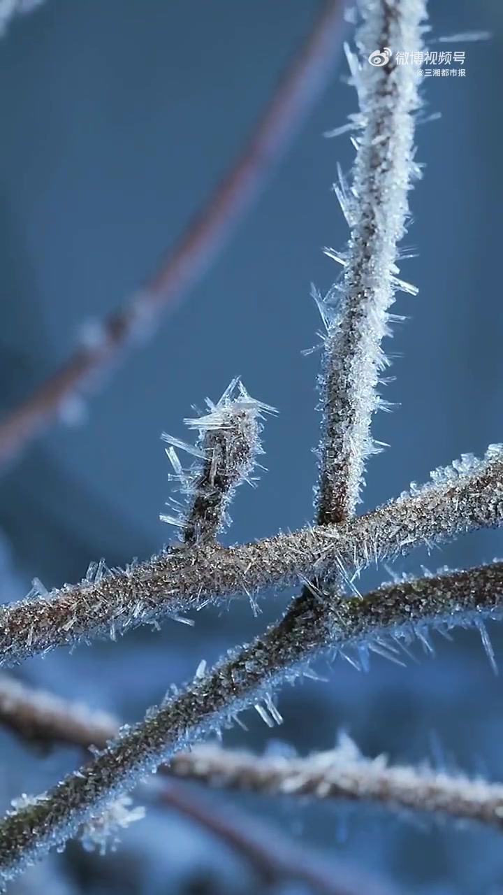 "霜余远水呈天碧,雨过遥空现帝青.