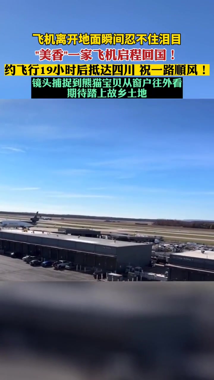 美香,添添,小奇迹,一路顺风!飞机离开地面瞬间忍不住泪目