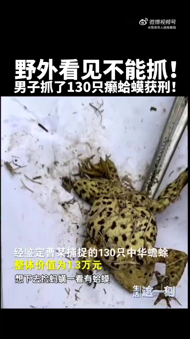 菏检说法「北京一男子河沟抓癞蛤蟆被判刑」