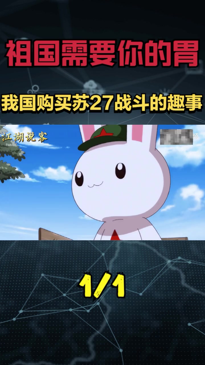 那年我兔购买苏27与大毛谈判趣事 那年那兔那些事 历史 趣事 搞笑 新