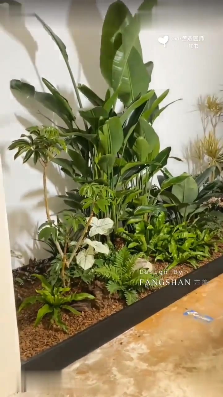 室内景观|办公室植物造景