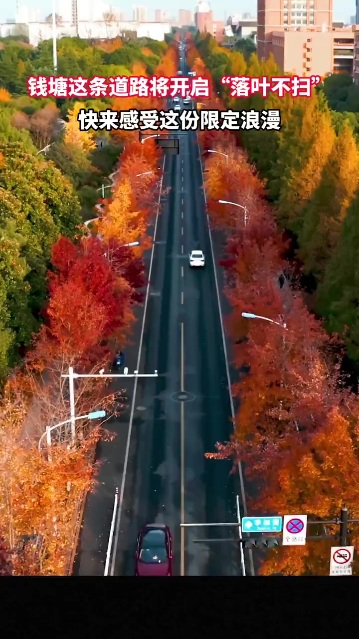 月31日期间,钱塘区学林街(文泽路—文溯路)开蒲Я纸枫香大道图片高清