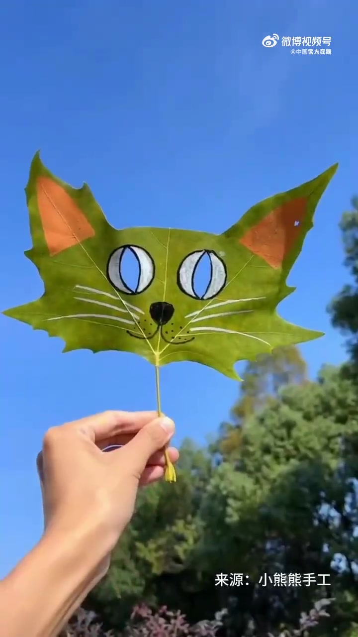 用树叶做一个猫咪面具」周末了,出去捡一片树叶做一个漂亮的猫咪面具