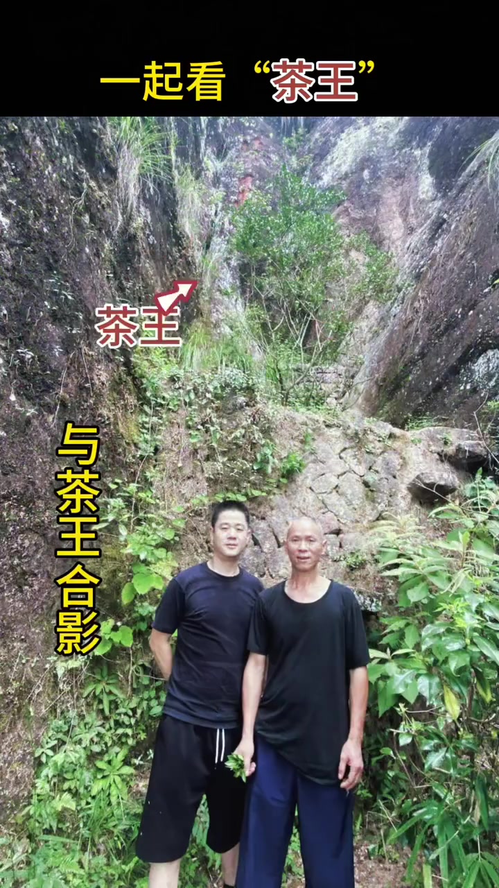 带你拜 武夷山岩茶鼻祖,真正的茶王