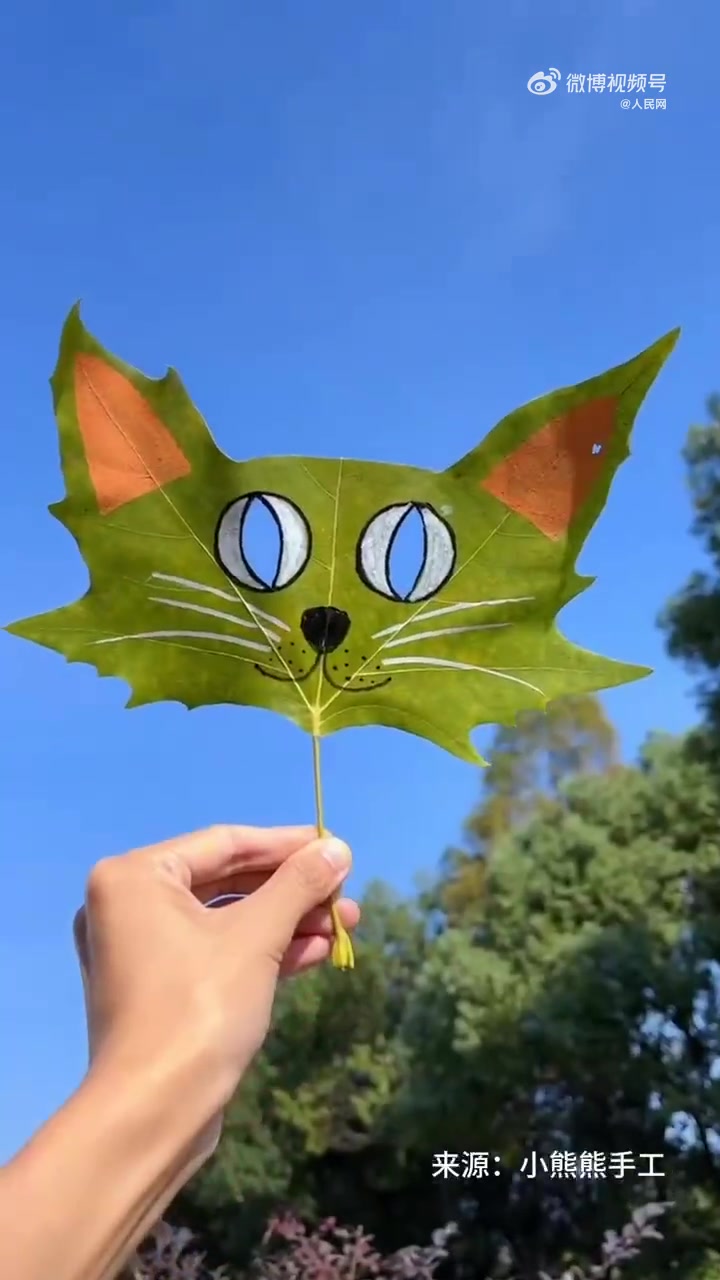 如何用一片树叶做猫咪面具」捡一片树叶做一个漂亮的猫咪面具吧~简单