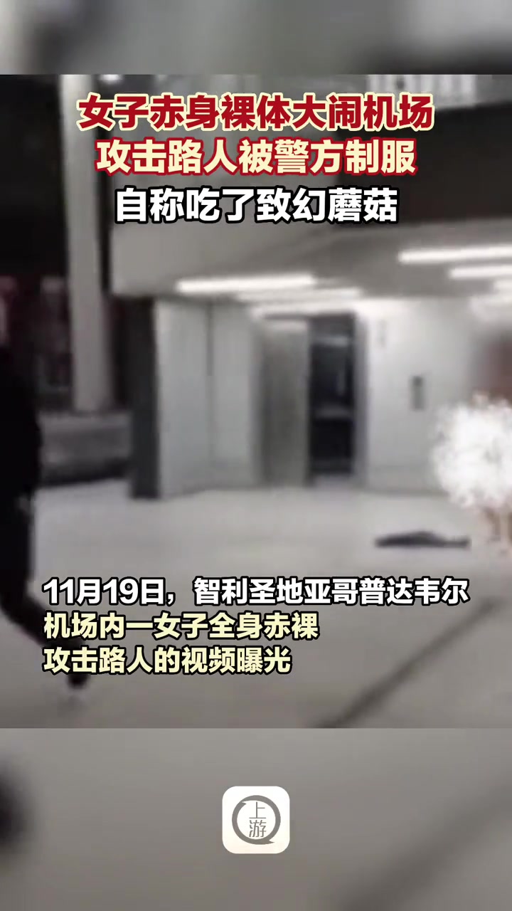 11月19日报道女子赤身裸体大闹机场攻击路人被警方制服自称吃了致幻