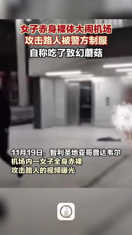 裸体大闹机场攻击路人被警方制服自称吃了致幻蘑菇来源河北日报翼看点