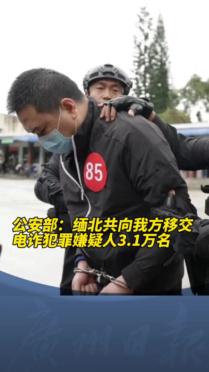 公安部缅北共向我方移交电诈犯罪嫌疑人31万名