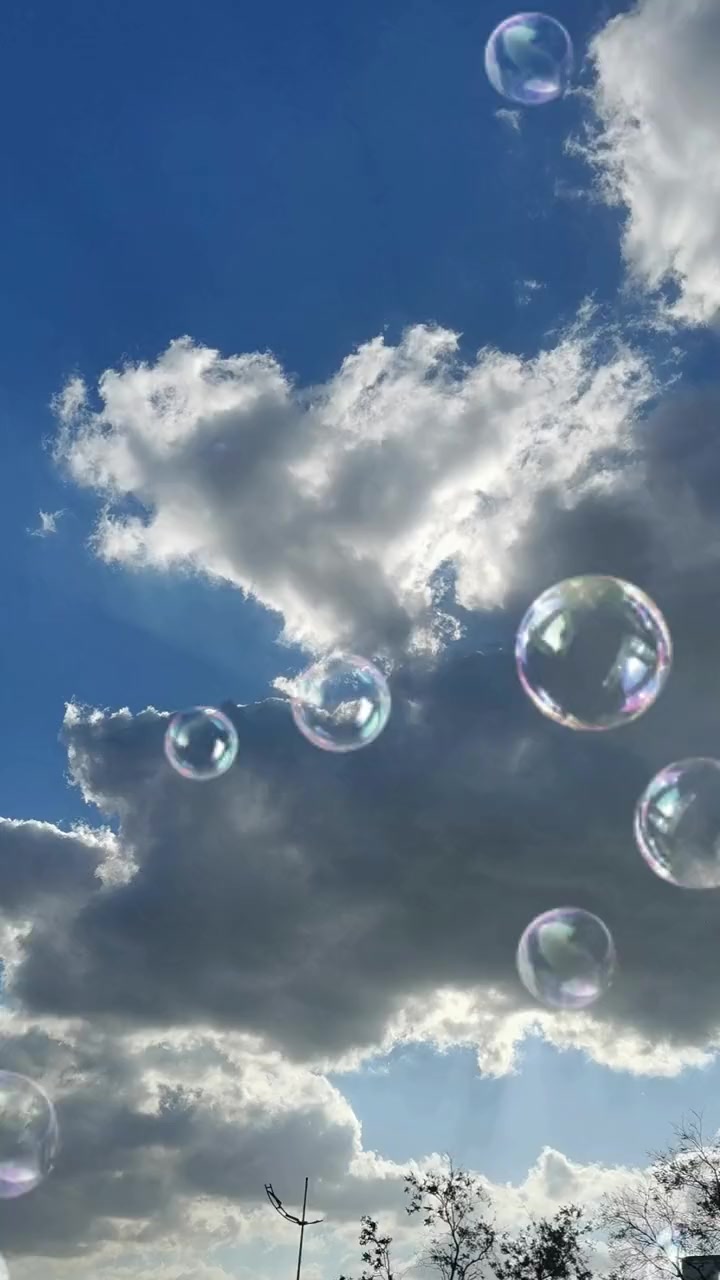 纵是泡沫色斑斓与风厮守亦是难刹时花火转瞬逝风离沫破无纠缠 美丽的