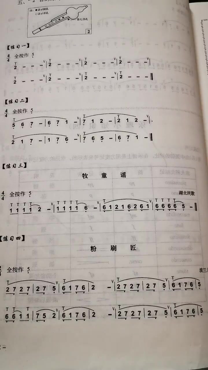 葫芦丝—牧童谣