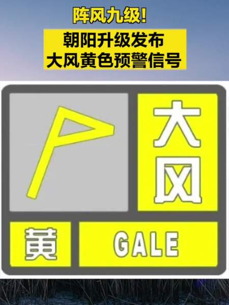阵风九级朝阳升级发布大风黄色预警信号朝阳区气象台2023年11月23日09