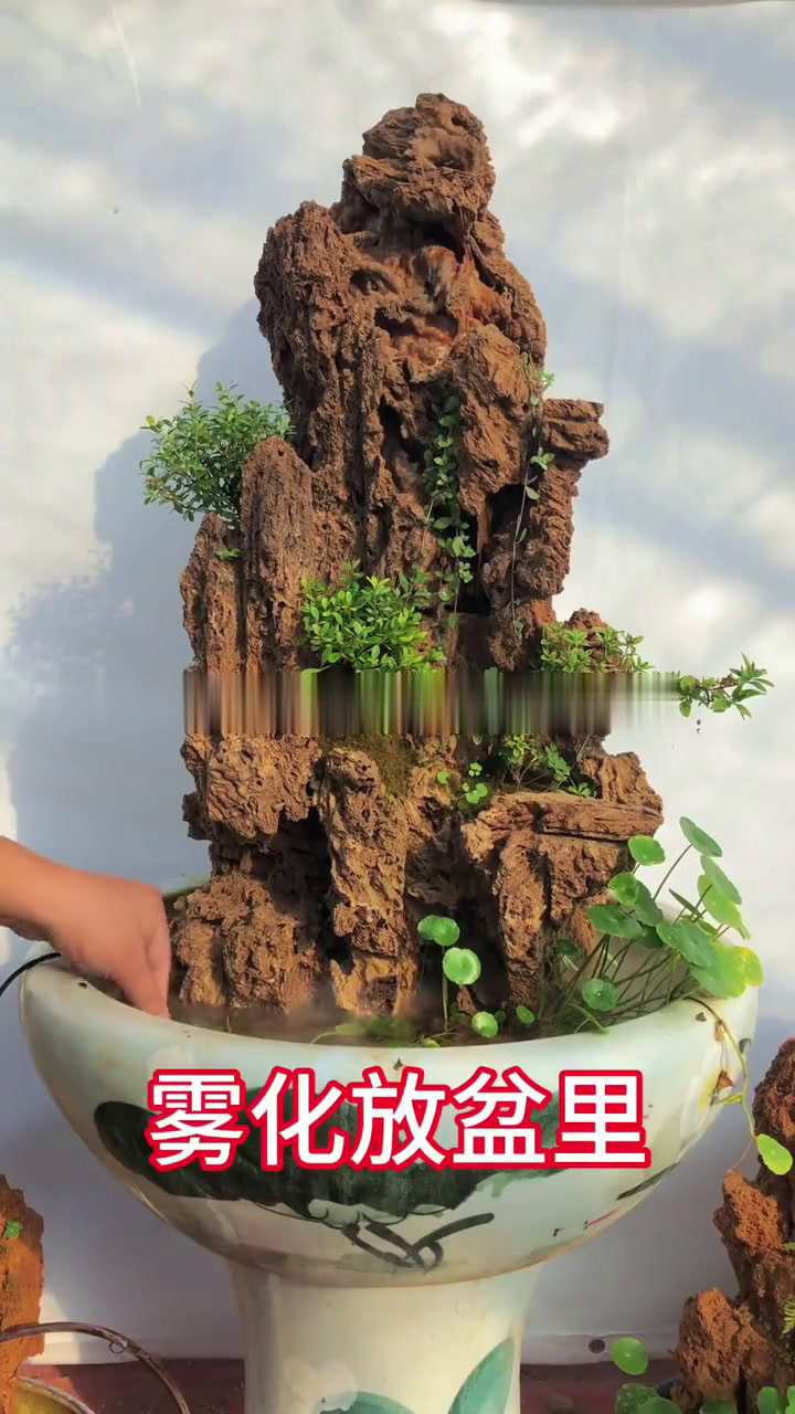 吸水石假山盆景制作批发基地