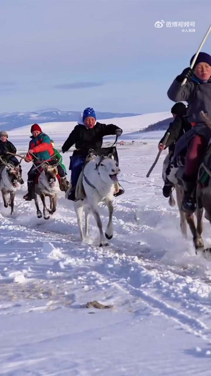 近日,内蒙古,一群鄂温克族小伙在雪地里骑驯鹿,英姿飒爽,霸气十足!
