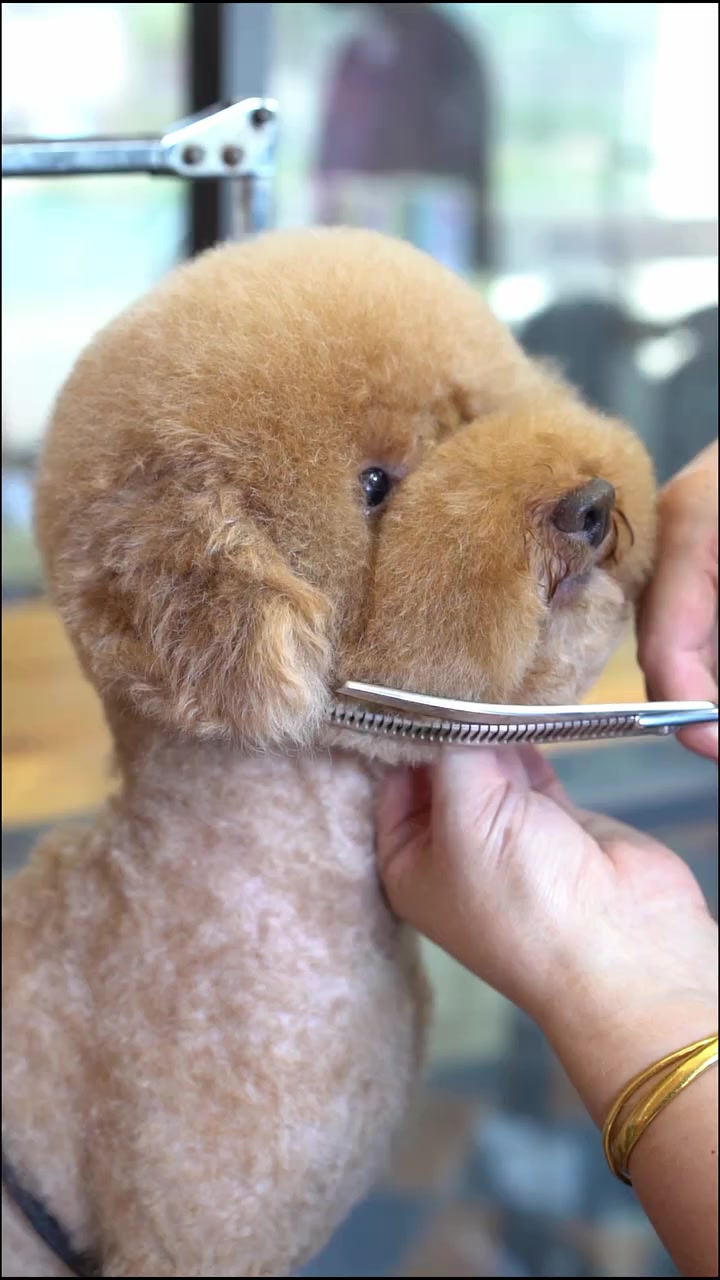 你想要的3个泰迪圆头的小细节来了,点赞收藏!