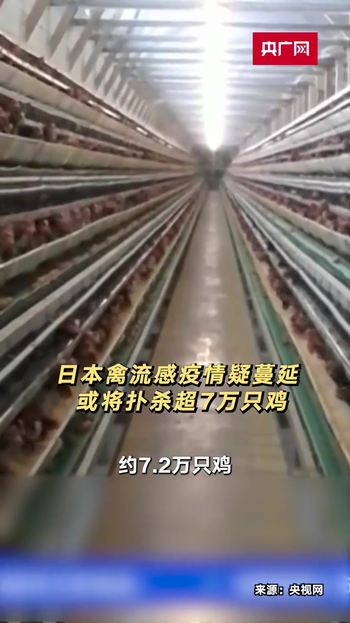 日本禽流感疫情疑蔓延 或将扑杀超7万只鸡