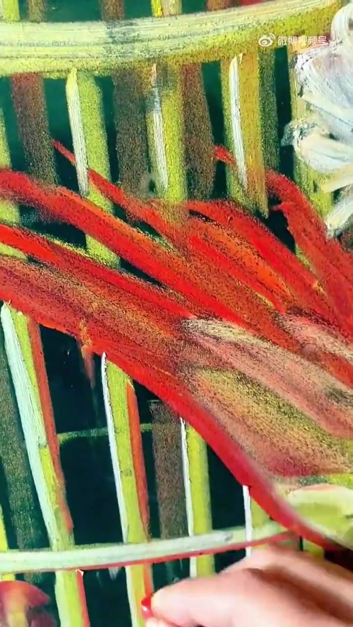 近日,河北沧州,小学美术老师利用课余时间,在黑板上绘制凤凰粉笔画