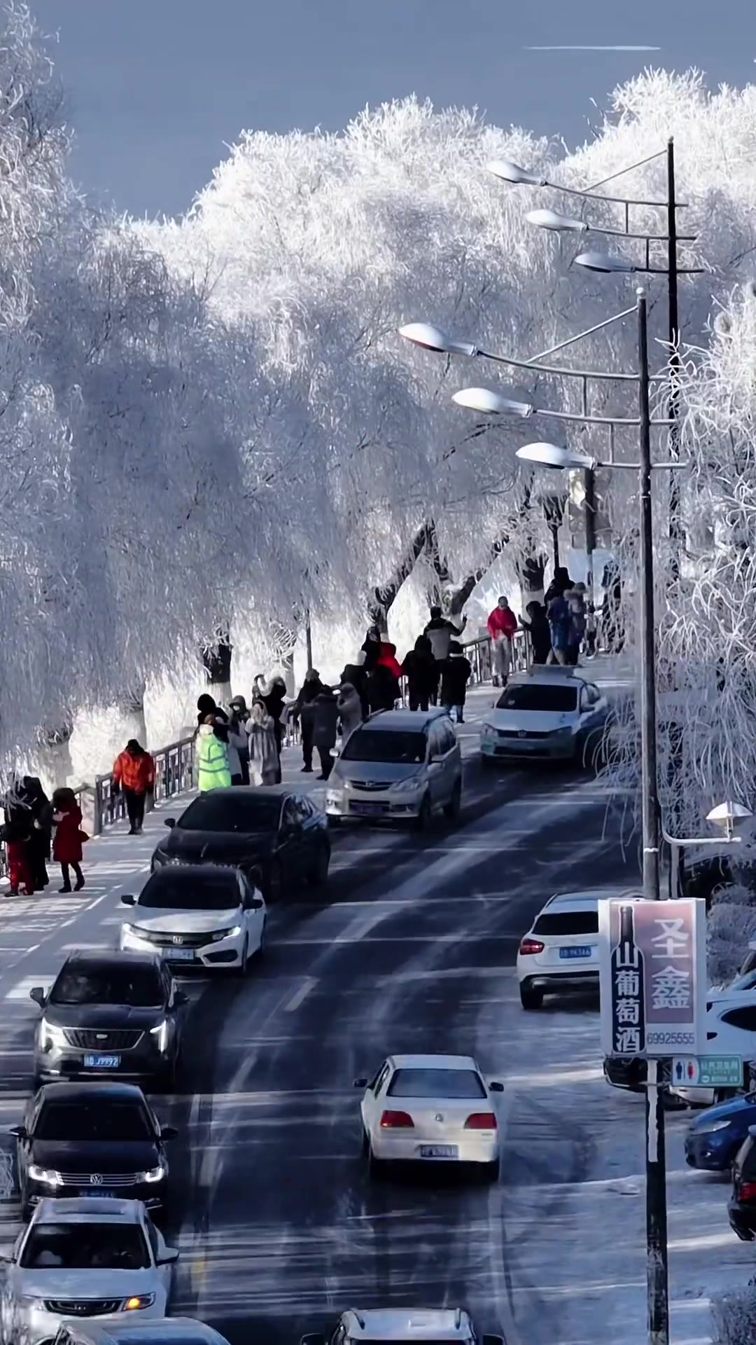 吉林雾凇名不虚传,大批南方游客前来观看雾凇,即使在冷也挡不住他们的
