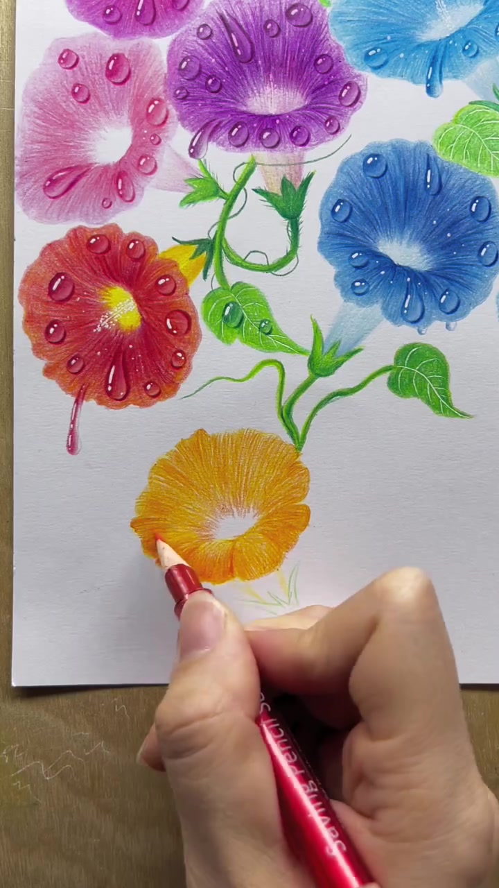 一朵彩铅黄色牵牛花教程分享