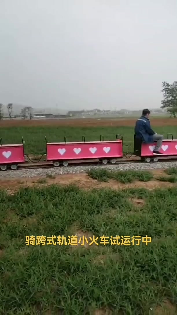 网红骑跨式轨道小火车试运行中-度小视