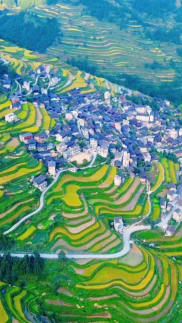 雷山开屯梯田 开屯村属于雷山县永乐镇,依山而建,风景如画,人民热情