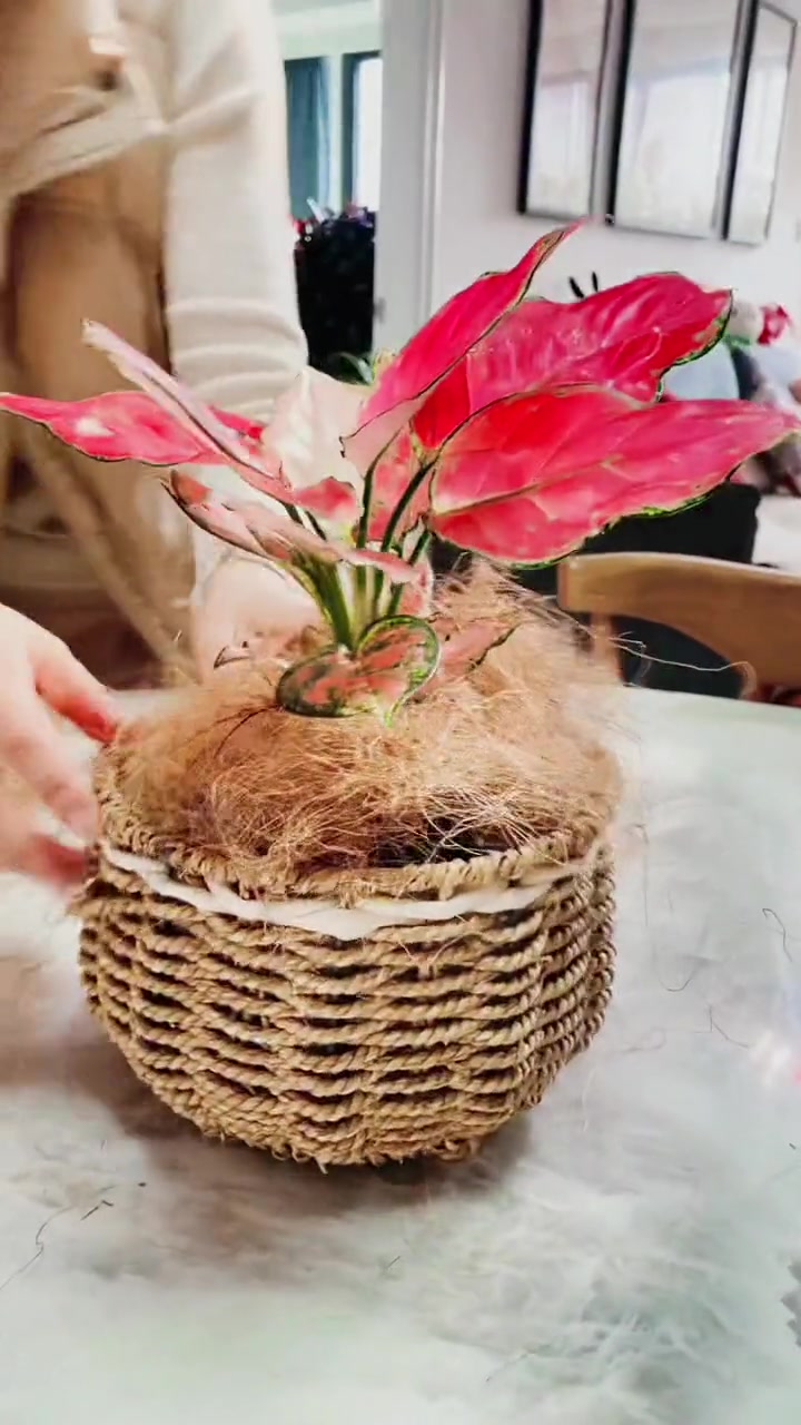 家里的花盆用这个椰棕丝铺面装饰更好看