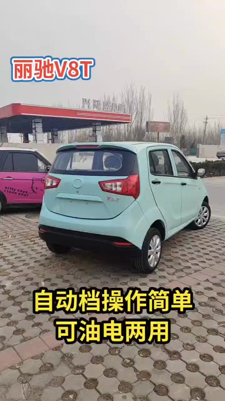 丽驰电动汽车家用四轮代步车