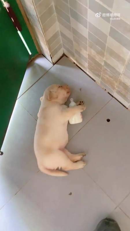 幼儿园午休起床实录捉到一只企图萌混过关的小朋友别拍了我还要睡觉