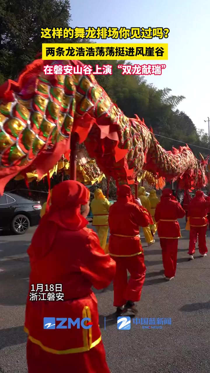 这样的舞龙排场你见过吗2条龙浩浩荡荡挺进风崖谷在磐安山谷上演双龙
