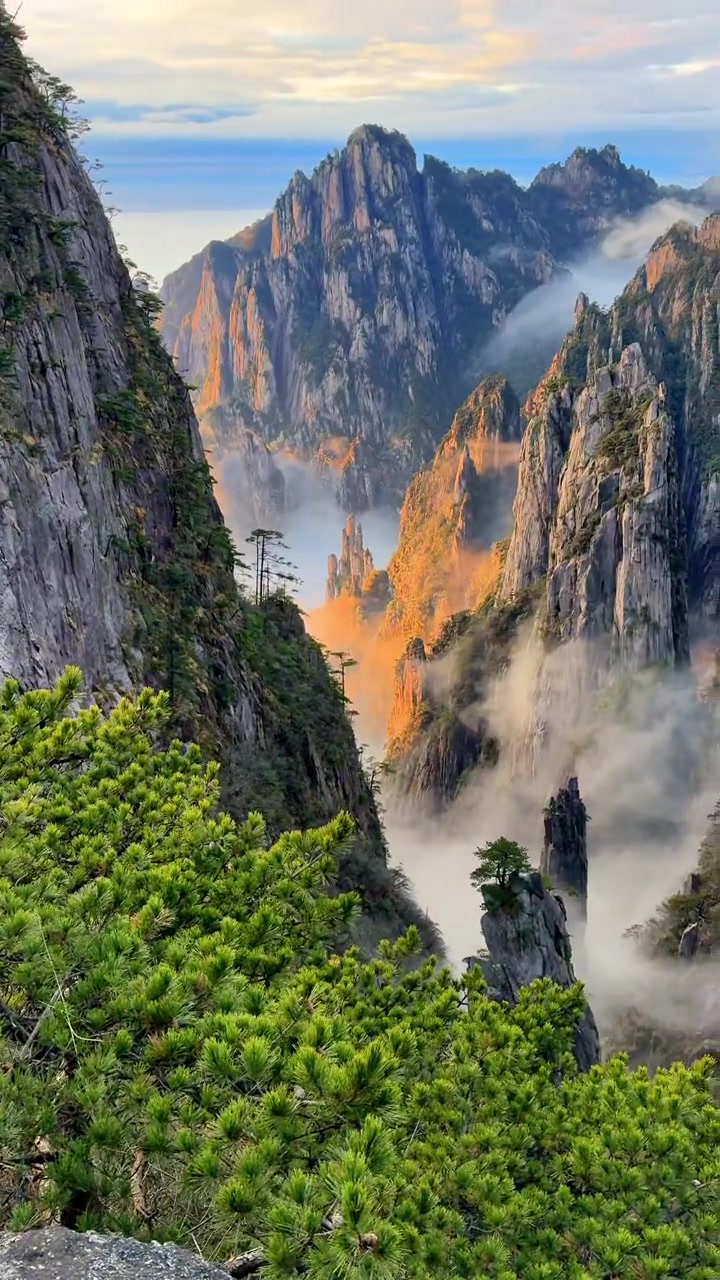 爬了2000趟山,生平第一次看到这超级震撼的金色的黄山绝景三剑客,必须