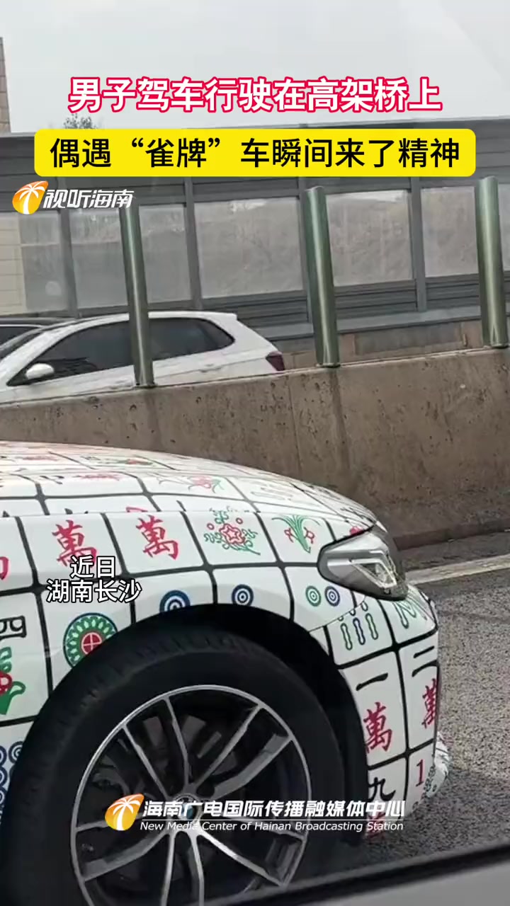 男子驾车行驶在高架桥上 偶遇"雀牌"车瞬间来了精神 车衣 麻将 雀神