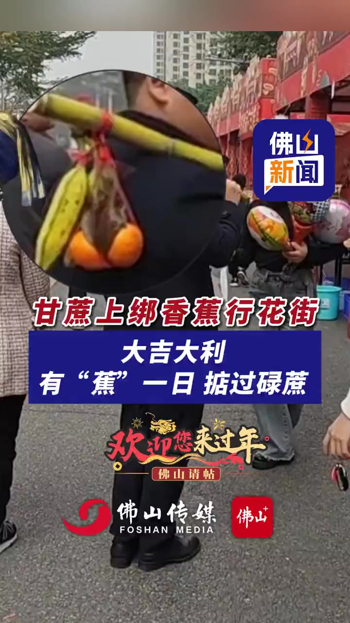 广东人甘蔗上绑香蕉行花街寓意新的一年掂过碌蔗编辑小花请到佛山过大