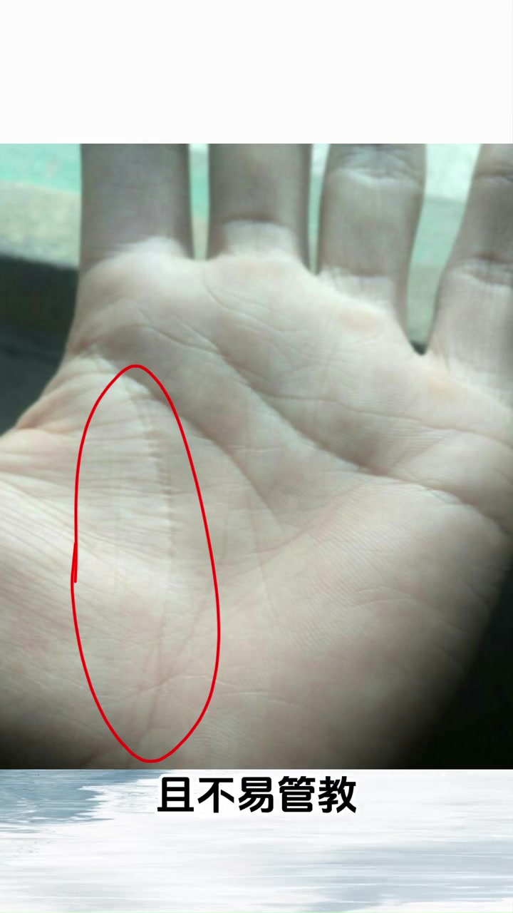 生命线有岛纹预示什么手纹秘密健康姻缘运势早知道转运