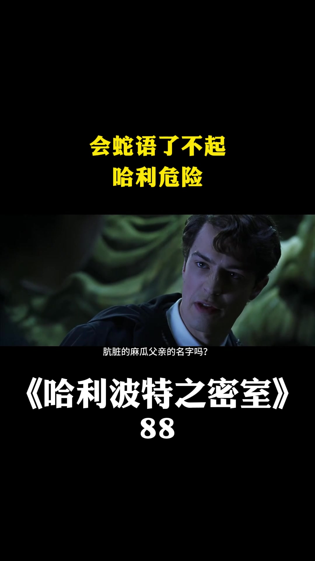 哈利波特之密室:会蛇语了不起,哈利危险