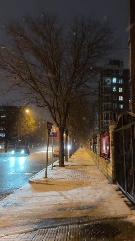北京下雪啦北京多区飘落雪花雪夜真美