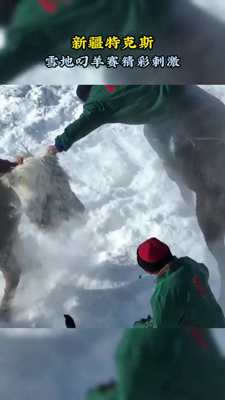 作为新疆民间传统体育项目之一叼羊比赛深受各族群众的喜爱近日在新疆