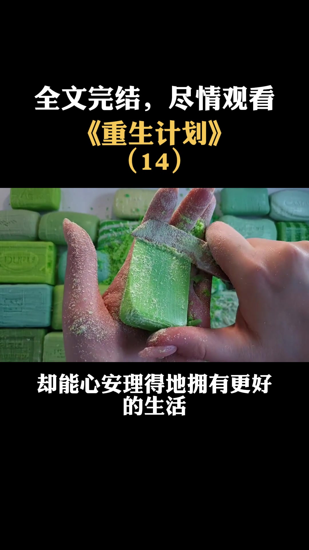 重生计划:你要怎么样才能放过我,我做错了什么事情