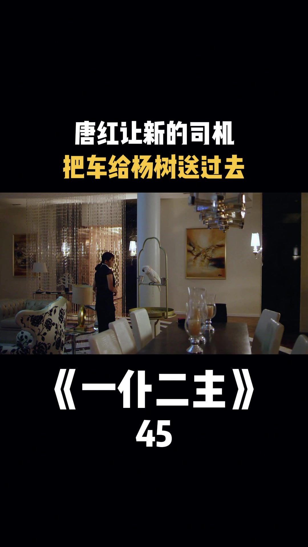 一仆二主:唐红让新的司机,把车给杨树送过去