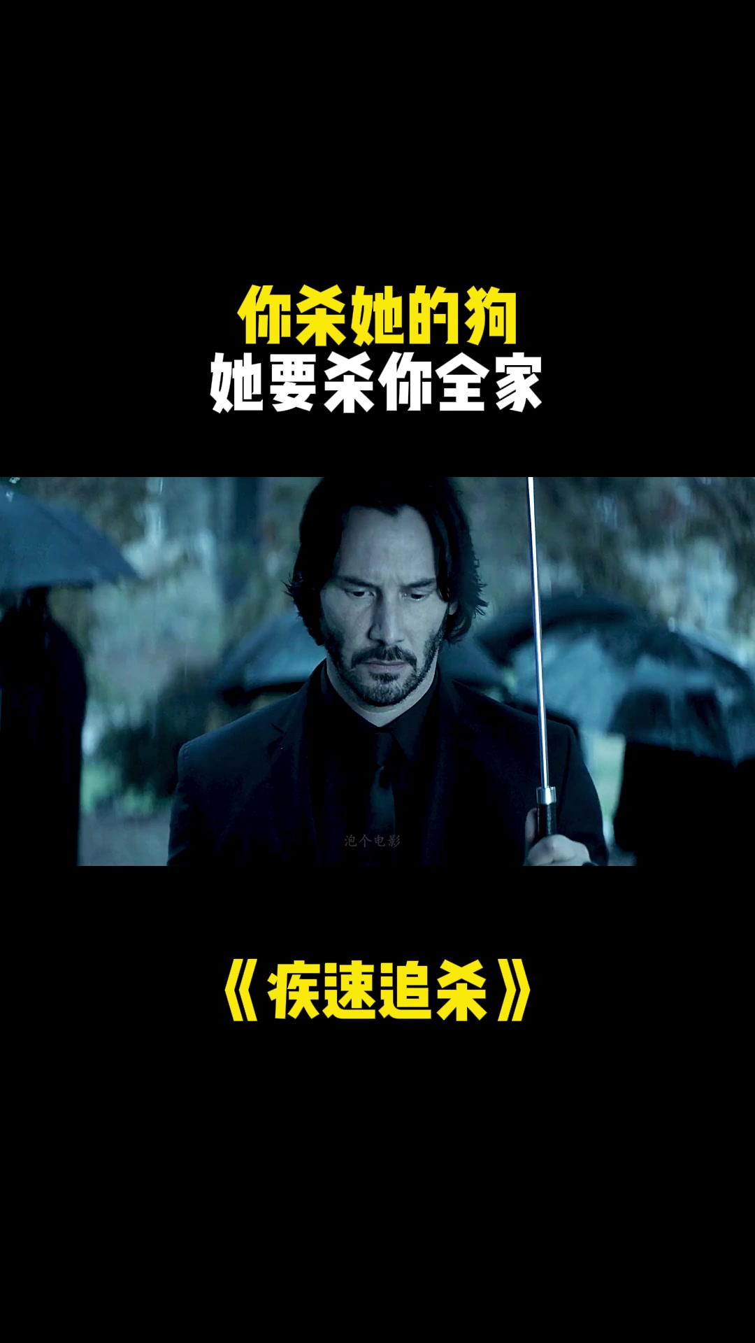疾速追杀你杀她的狗她要杀你全家