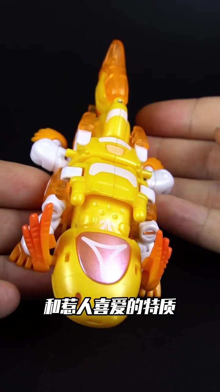 第33集|蝾螈这种生物 你们了解多少?